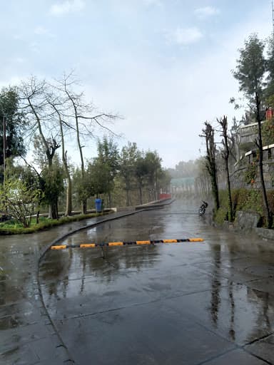 JUIT Solan-gallery-image-7