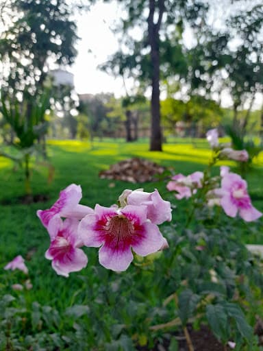 KAHER-gallery-image-5