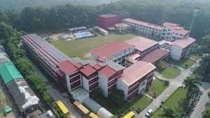 Dolphin Institute-gallery-image-3