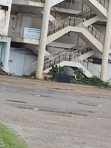 DSM Hyderabad-gallery-image-6