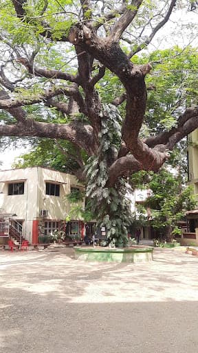 MSSW Chennai-gallery-image-6