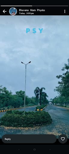 PSYE-gallery-image-5