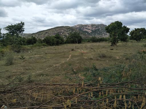 K M M Institute Of Postgraduate Studies-gallery-image-7