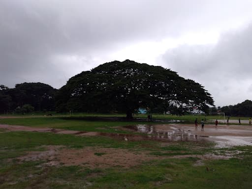 GVC Palakkad-gallery-image-5