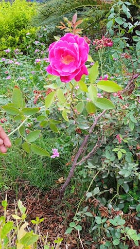 AKP PG College Bulandshahr-gallery-image-5