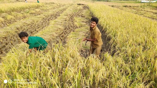 B.R. College of Education-gallery-image-7