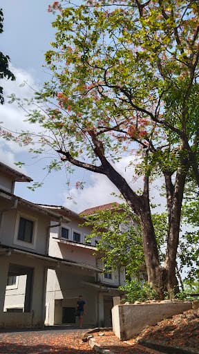 Chowgule College-gallery-image-7