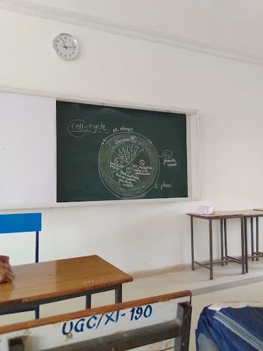 शासकीय कन्या महाविद्यालय कटनी-gallery-image-5