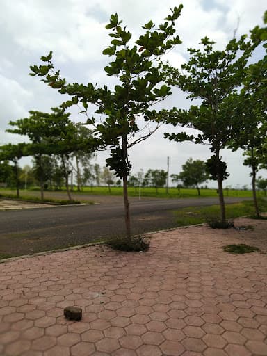 MIT Ujjain-gallery-image-7