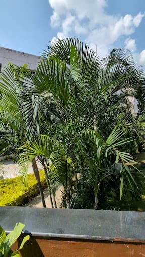 MIST Indore-gallery-image-6