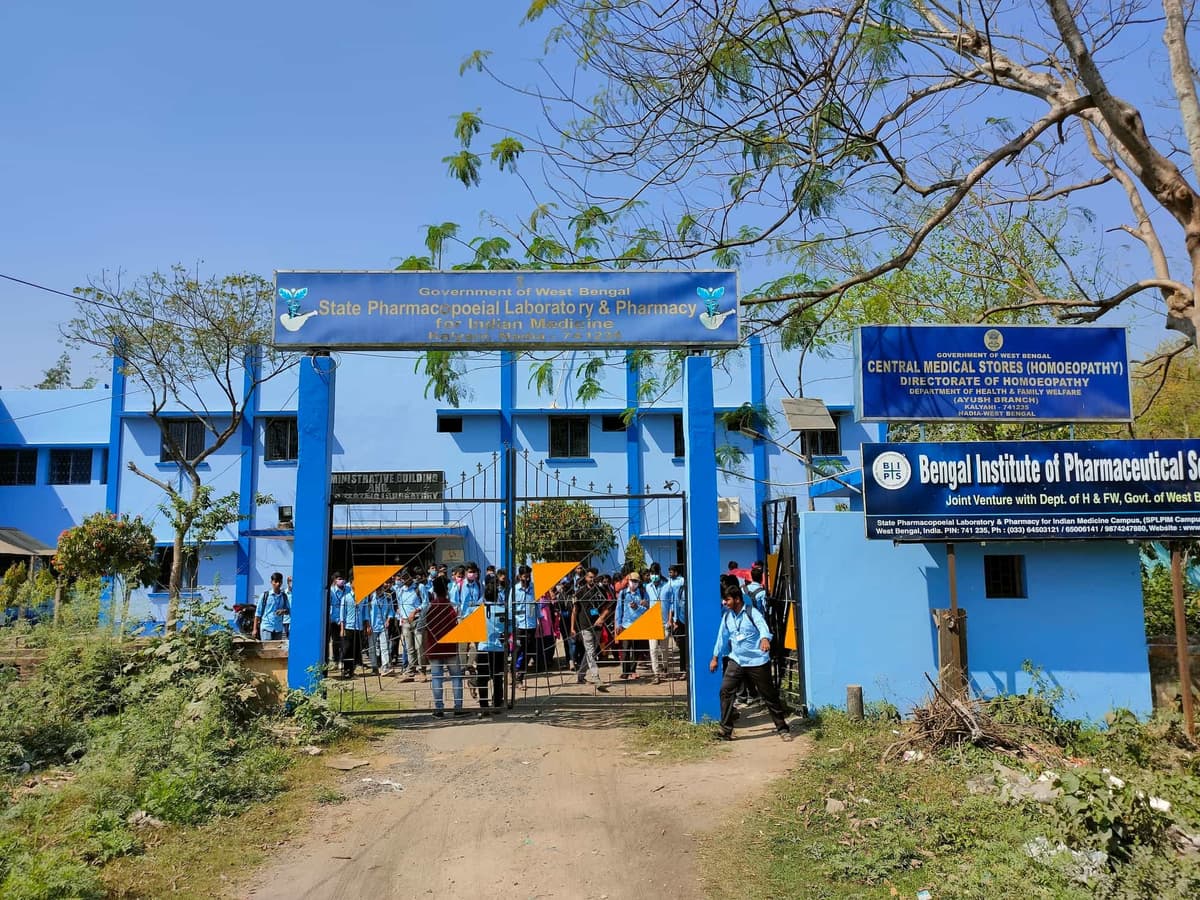 BIPS-gallery-image-2