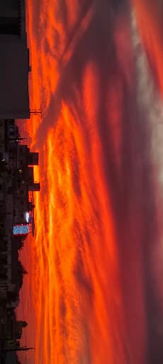 College of Food and Dairy Technology, Tamil Nadu Veterinary and Animal Sciences University Chennai-gallery-image-5