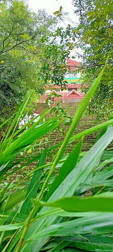 PNPSAMC-gallery-image-7