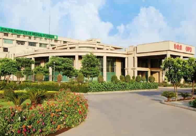 PIMS Jalandhar-image