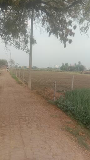 Shri RLT Pharmacy Etawah-gallery-image-7