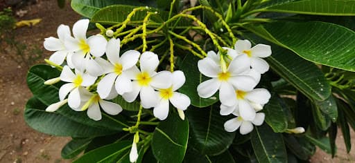 GU Nursing College-gallery-image-5