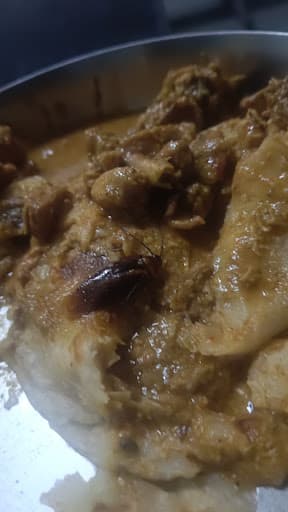 PGP College of Agricultural Sciences-gallery-image-7