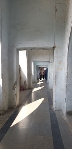 None-gallery-image-5