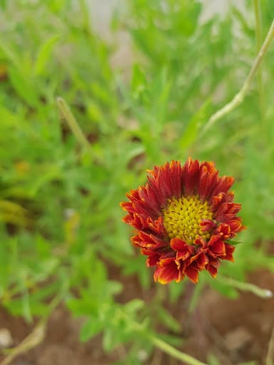 RIT Hassan-gallery-image-7