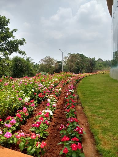 MITE-gallery-image-7