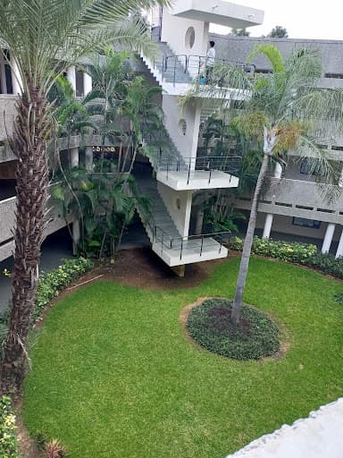 DEPISTAR-gallery-image-5