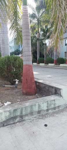 Noble Homoeopathic College Junagadh-gallery-image-6