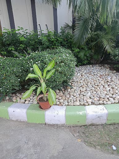 KIM Varanasi-gallery-image-7