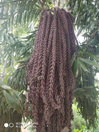 Vasavi College of Education, Puducherry-gallery-image-6