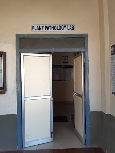 CUTM Ganjam-gallery-image-6