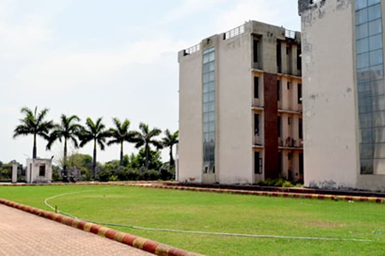 Sakshi College of Nursing and Paramedical Sciences-image