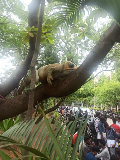 JNAFAU Hyderabad-gallery-image-7