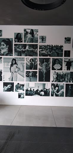 ADYPU-gallery-image-6