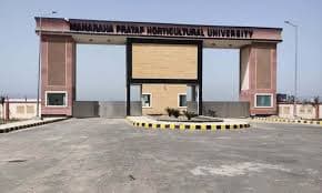 MPHUE-gallery-image-0