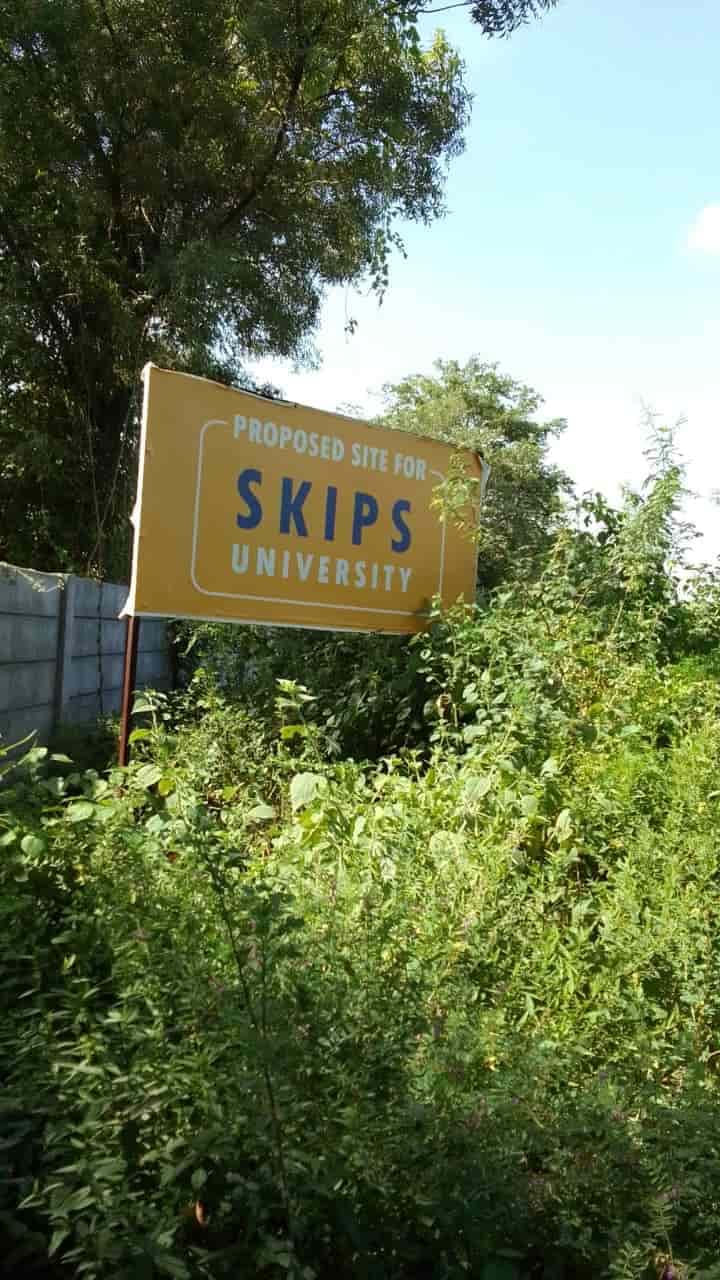 SKIPS-gallery-image-2
