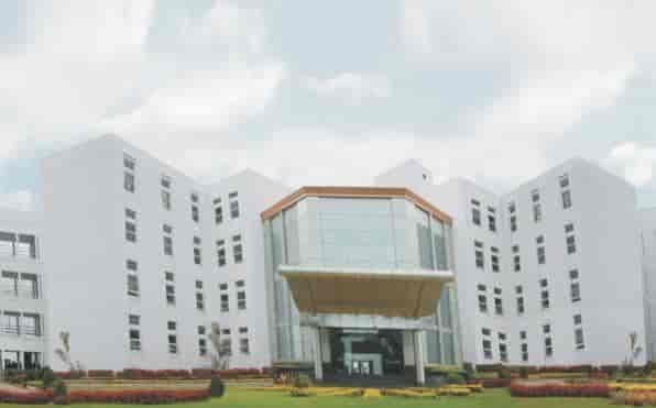 VVIOLS-gallery-image-1