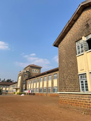 YCCSK-gallery-image-5