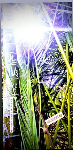 VVP Solapur-gallery-image-6